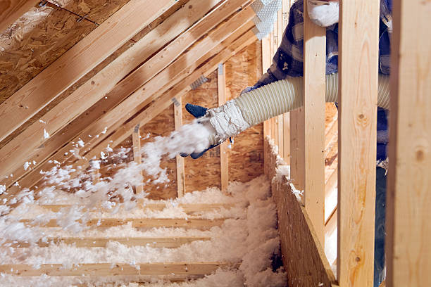 Best Eco-Friendly or Green Insulation Solutions  in Hazel Park, MI